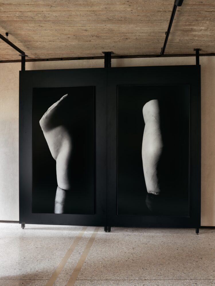 Torse 2 - Galerie Negropontes