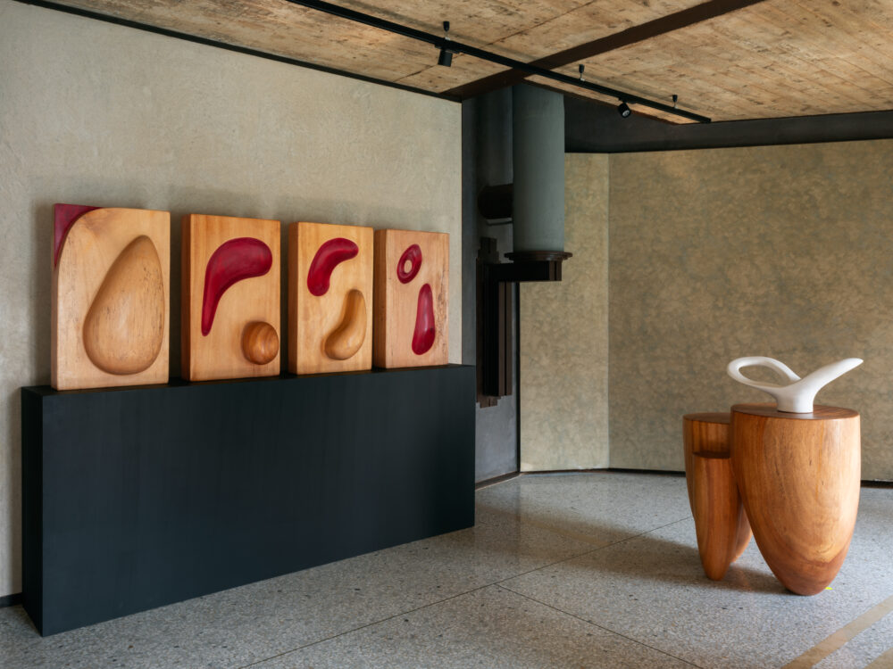 Red Variations - Galerie Negropontes