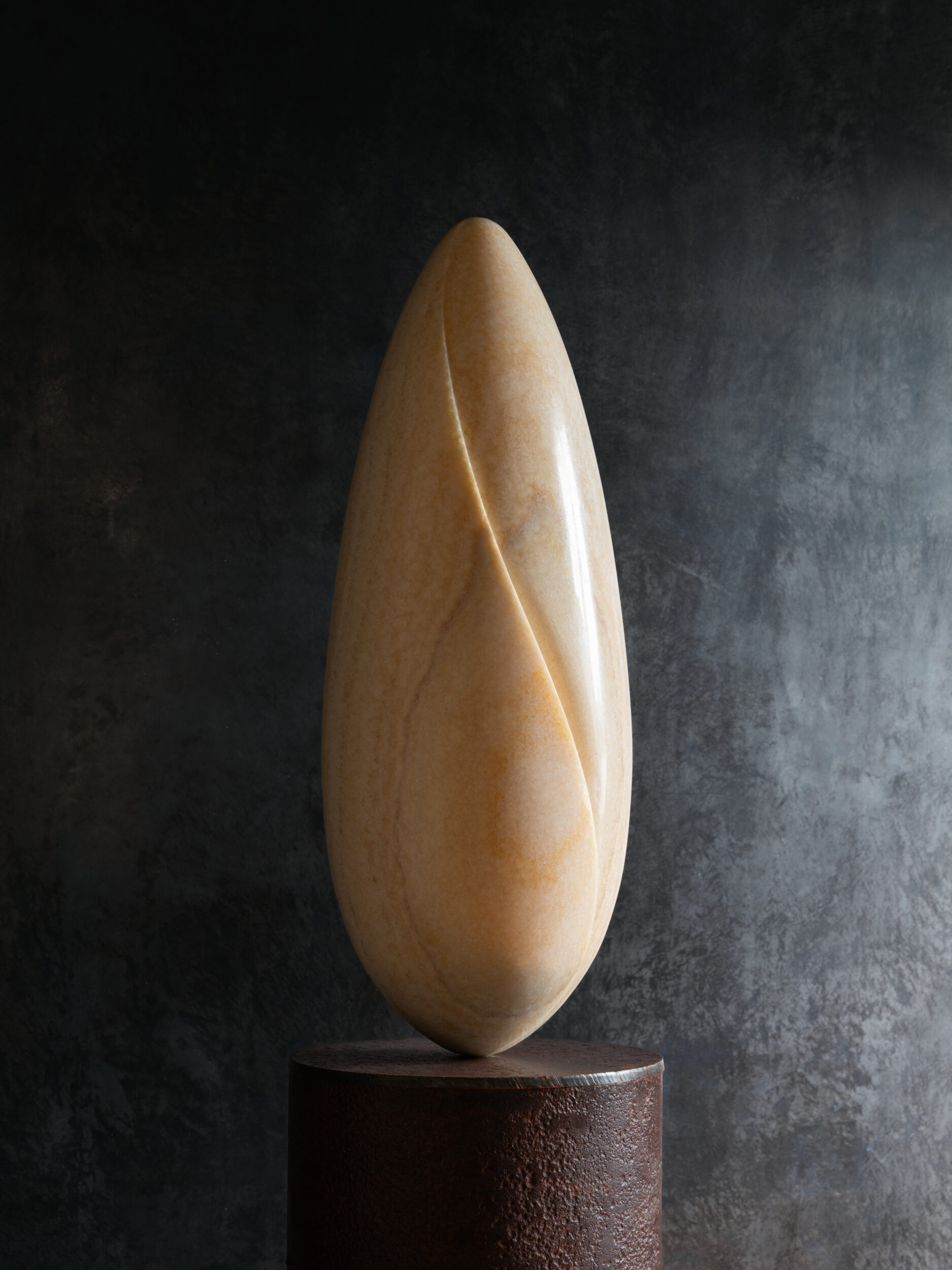 Reflections on Brancusi, Venice - Galerie Negropontes