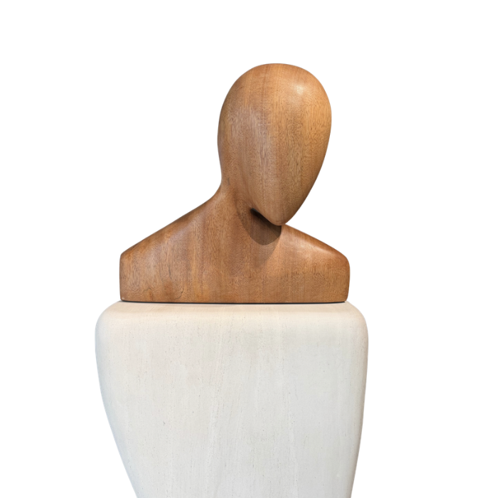 Witness - Galerie Negropontes