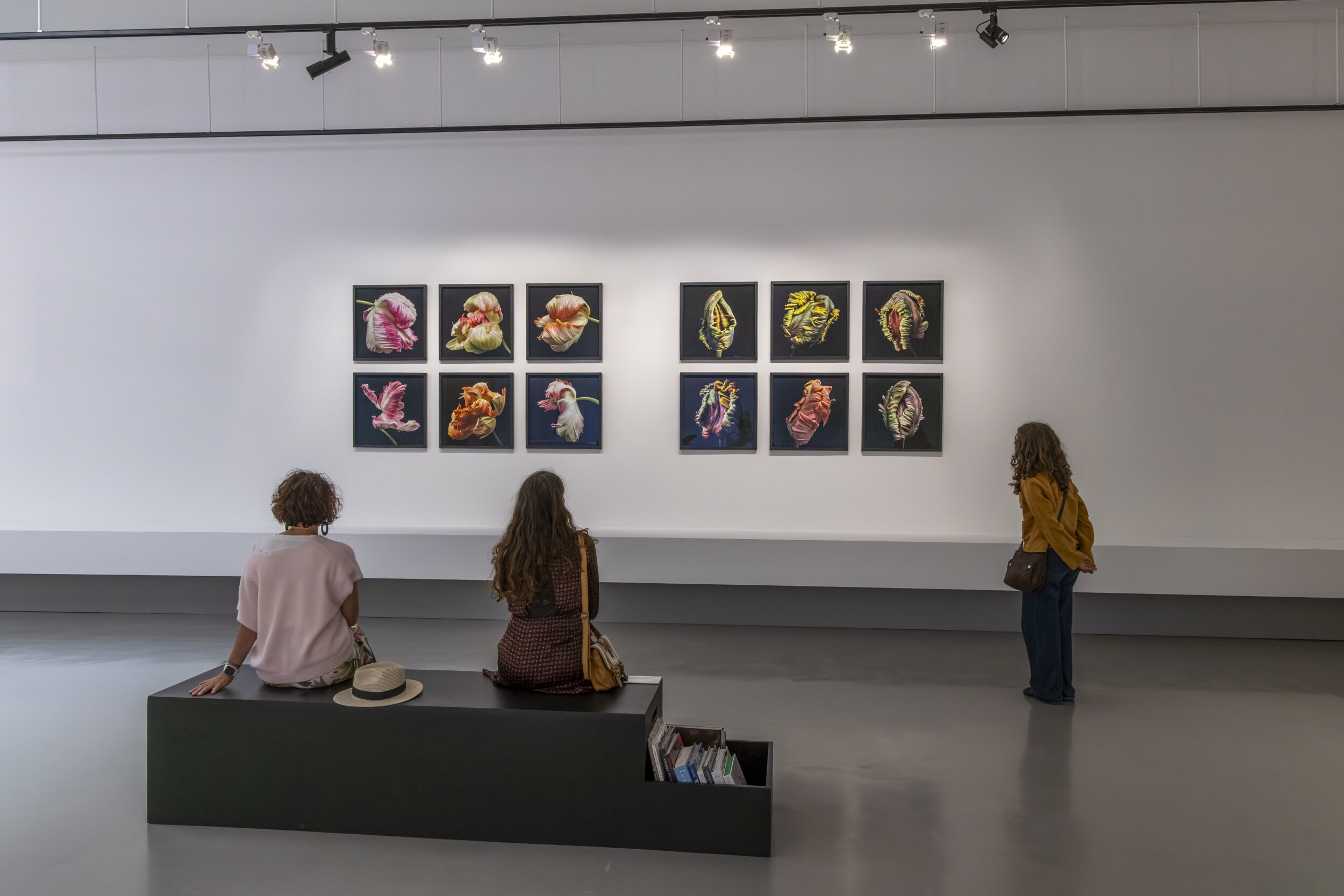 Page d&rsquo;accueil - Galerie Negropontes
