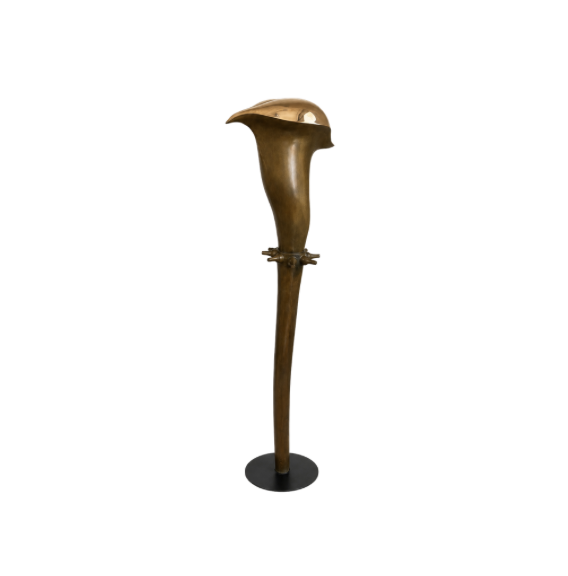 Crapaud d&rsquo;Or - Galerie Negropontes