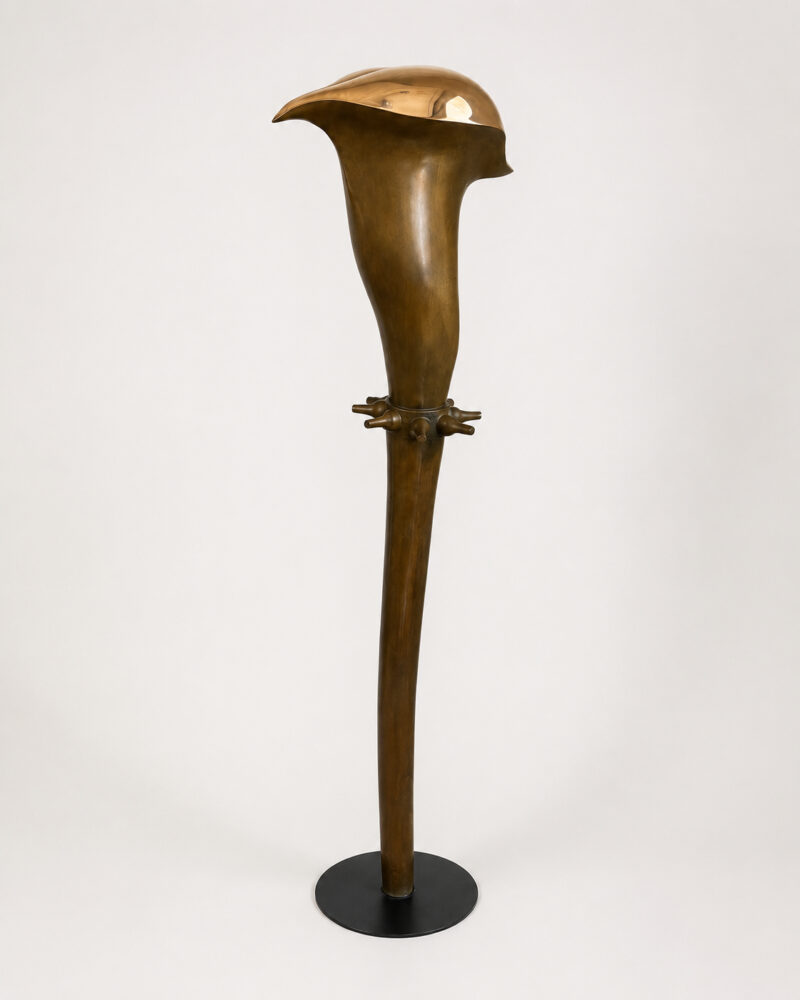 Crapaud d'Or - Galerie Negropontes