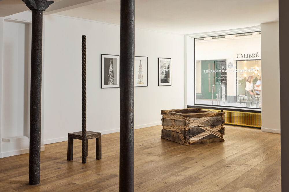 Anthropomirrored - Galerie Negropontes