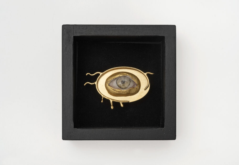 Oeil - Galerie Negropontes